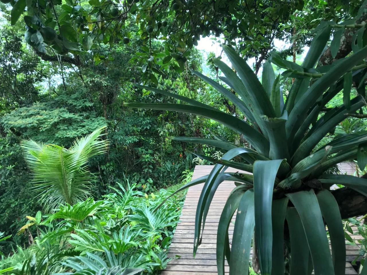 Rainforest House Abraão Exterior foto