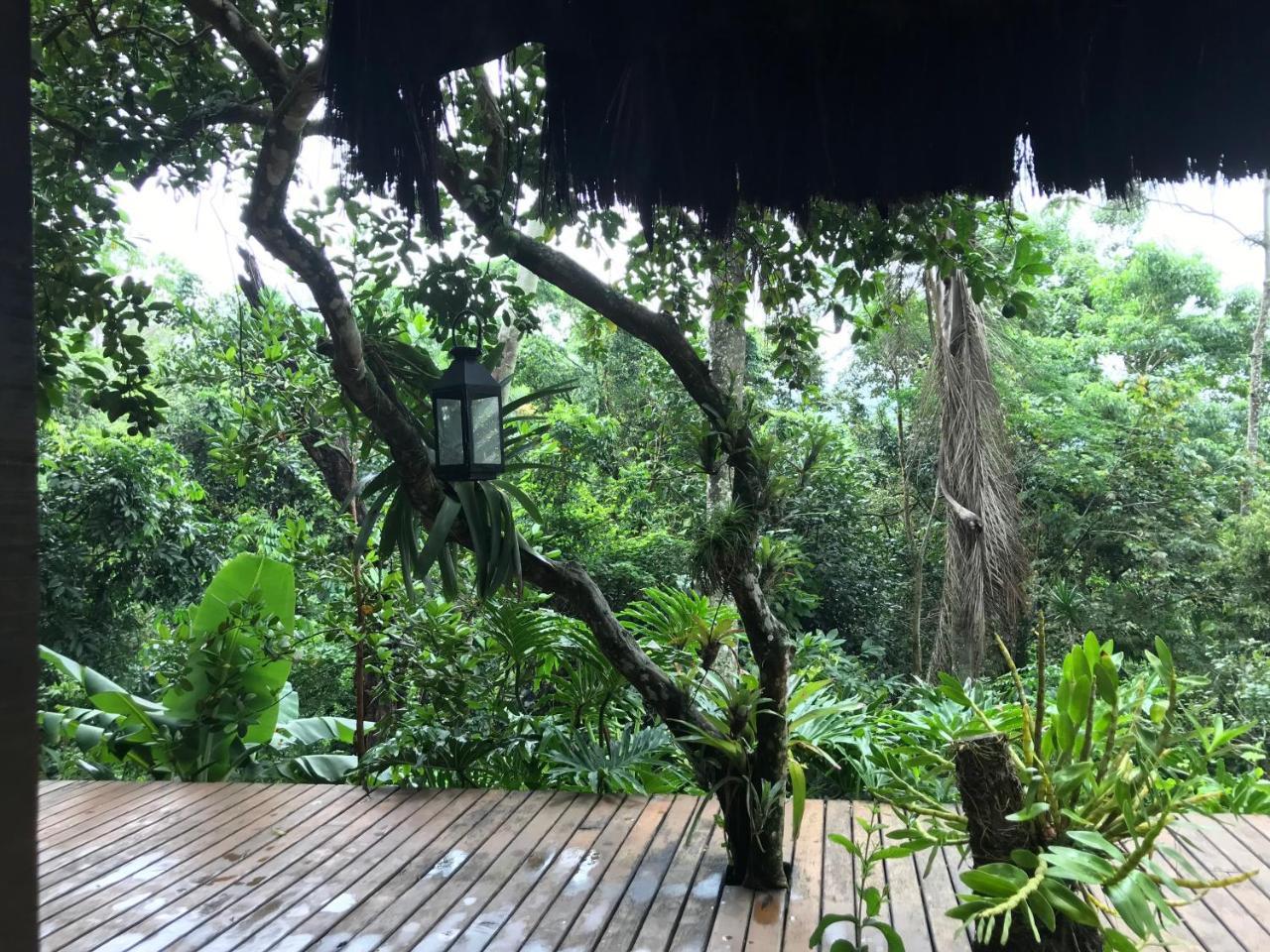 Rainforest House Abraão Exterior foto